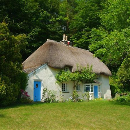 Lew Quarry Cottage Lewdown Exteriér fotografie