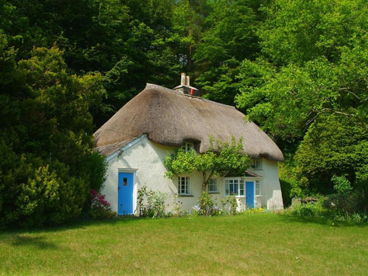 Lew Quarry Cottage Lewdown Exteriér fotografie